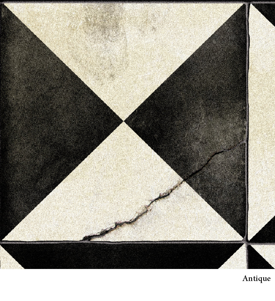 Borgo Black & White Antique - שטיח פי וי סי