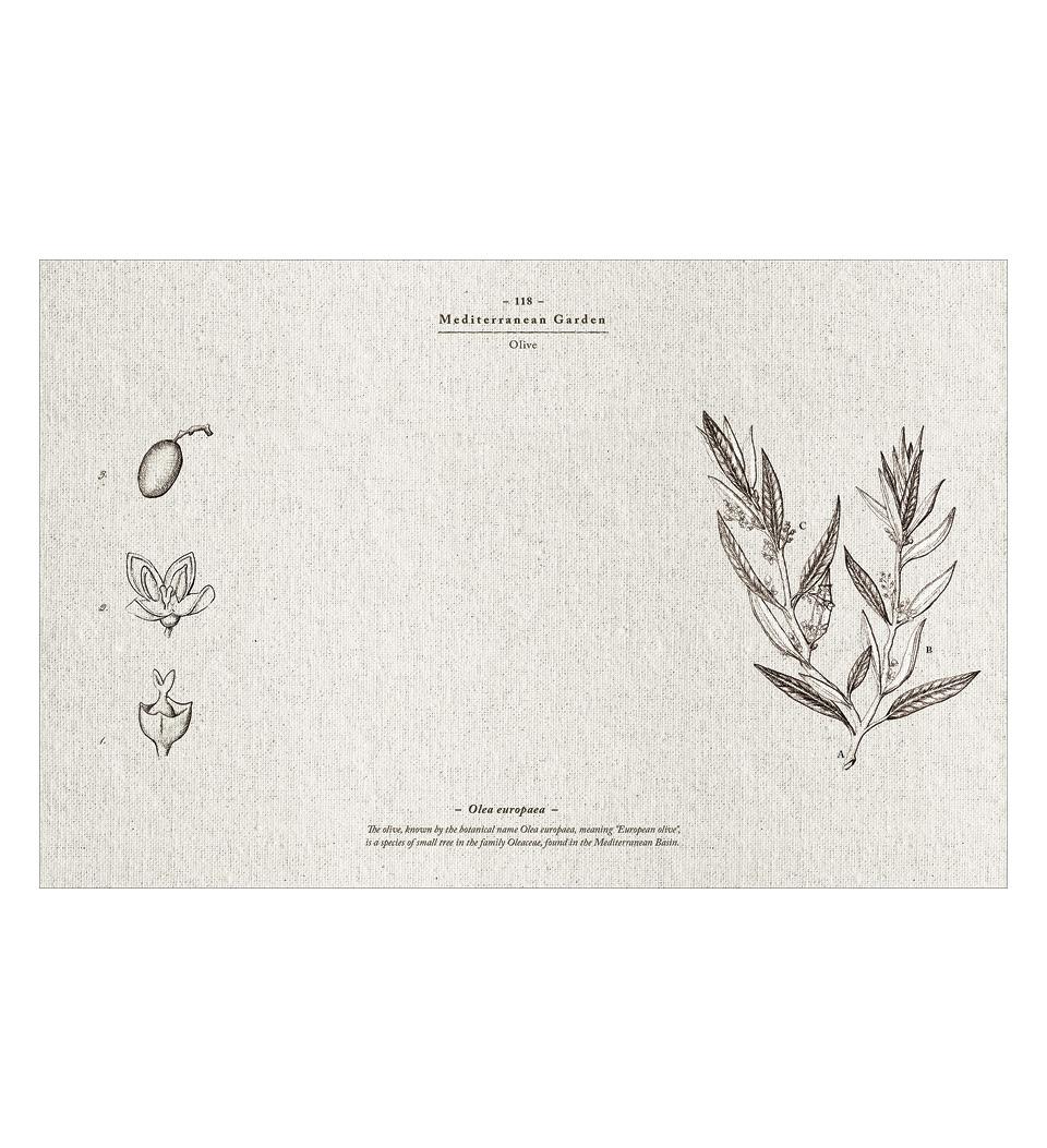 Mediterranean Garden - פלייסמט פי וי סי