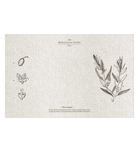 Mediterranean Garden - פלייסמט פי וי סי
