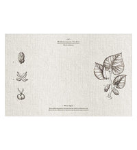 Mediterranean Garden - פלייסמט פי וי סי