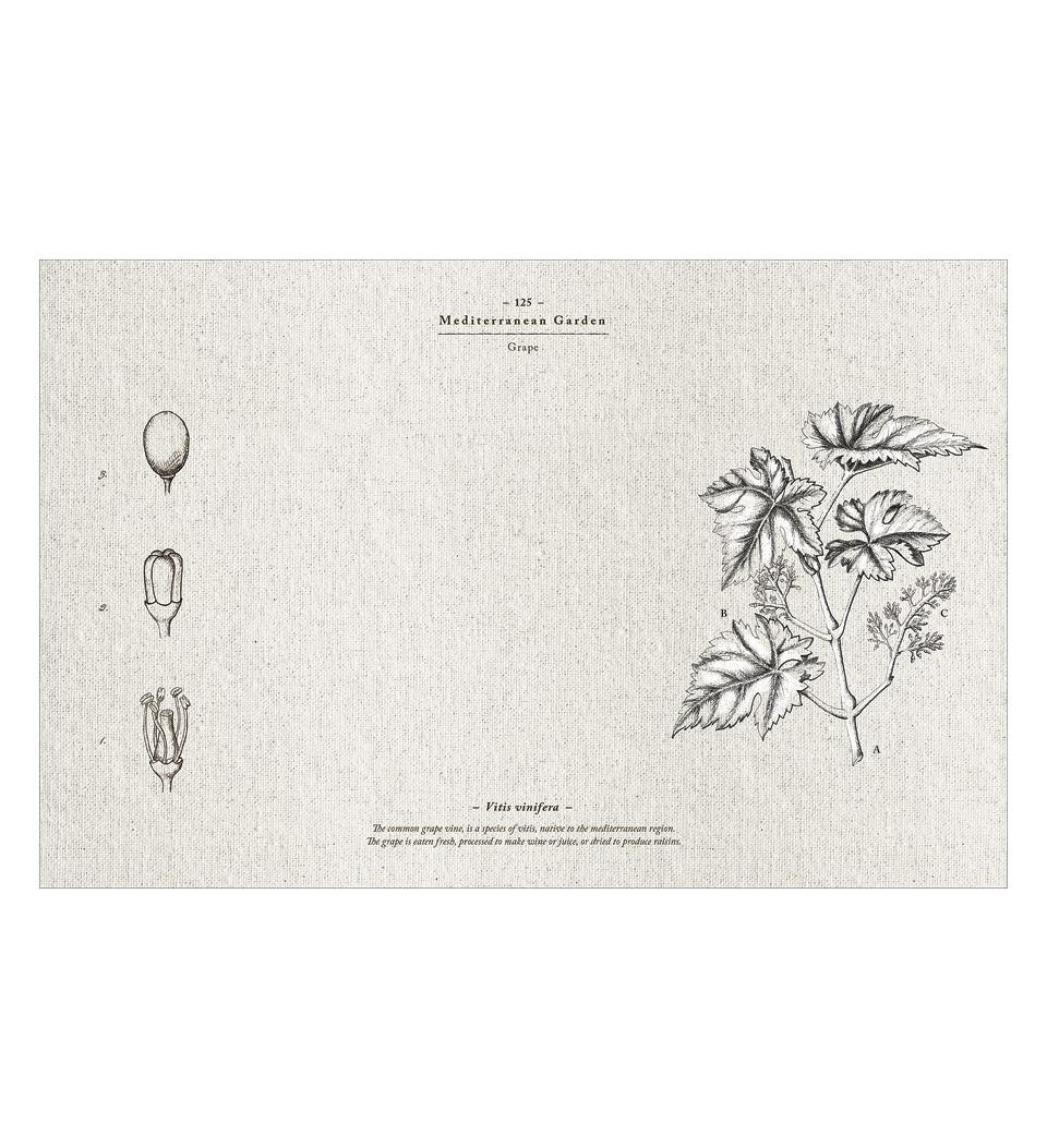 Mediterranean Garden - פלייסמט פי וי סי