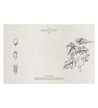 Mediterranean Garden - פלייסמט פי וי סי
