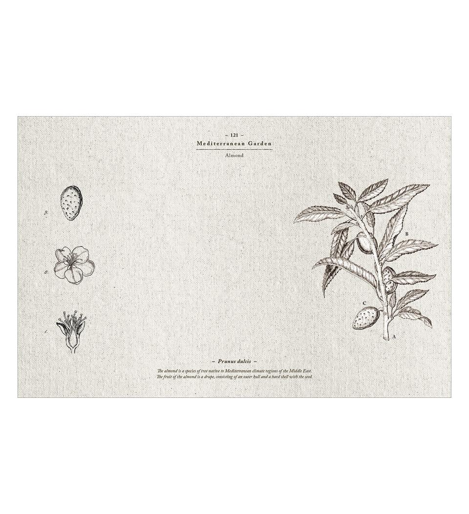 Mediterranean Garden - פלייסמט פי וי סי