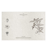 Mediterranean Garden - פלייסמט פי וי סי